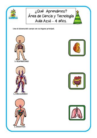 Sistemas del cuerpo humano