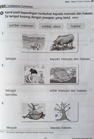 Tumbuhan Sains Tahun 2