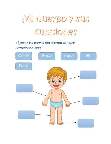 Mi cuerpo y sus funciones