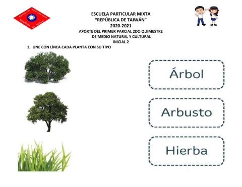 Aportemedio natural y cultural