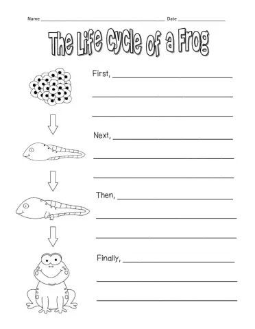 Frog life cycle