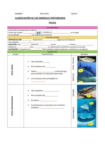 Clasificación de los vertebrados