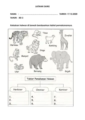 Tabiat pemakanan haiwan
