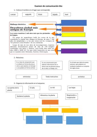 Examen de comunicación 6to