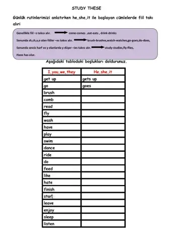 The Simple Present Tense