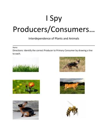 I Spy Producers-Consumers