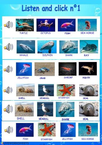 Sea Animals