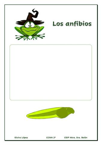 Los anfibios