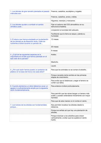 Plantación de árboles