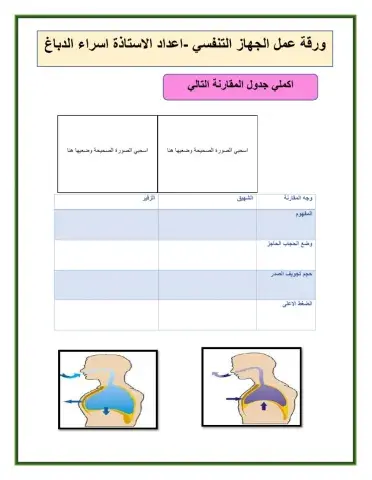 ورقة عمل الجهاز التنفسي