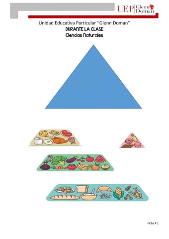 Piramide alimenticia