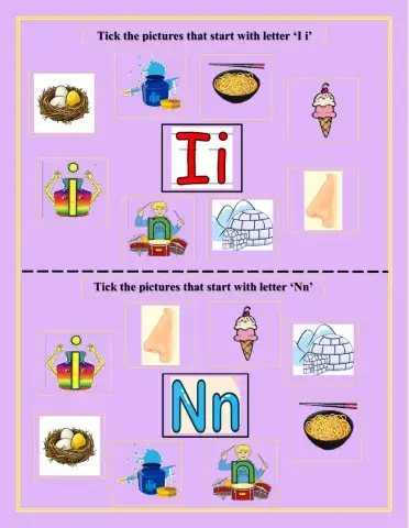 Tick the pictures that start with letter ‘Ii’ and 'Nn'