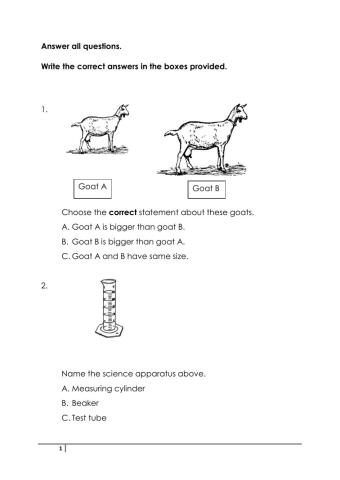 Quiz (science dlp year 2)