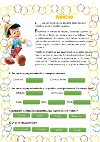 Características y descripción