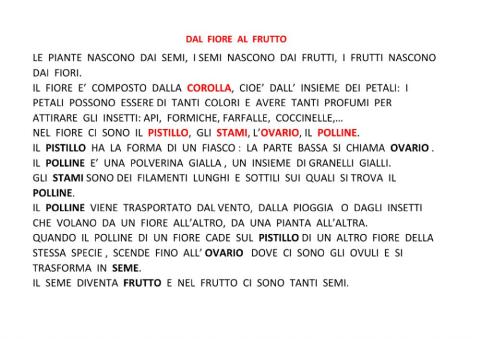 Dal frutto al fiore