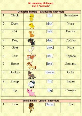 My speaking dictionary Unit 4 Animals