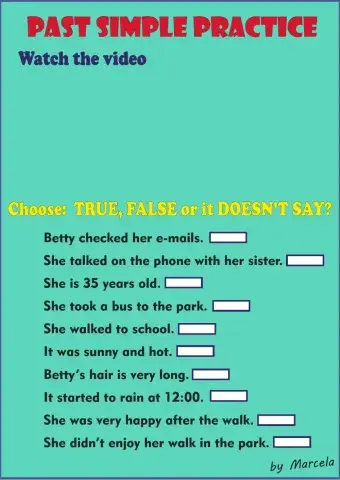 Past simple practice - video