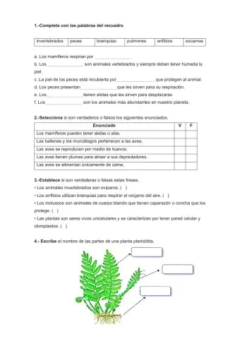 Cuestionario ciencias