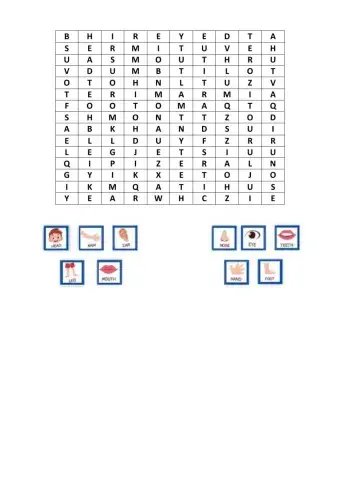 Partes del Cuerpo Inglés