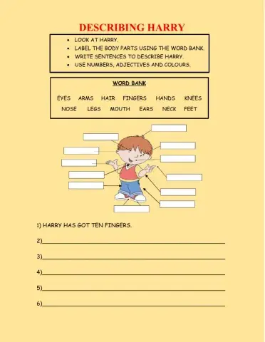 Harry and the Bucketful of Dinosaurs