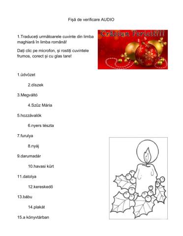 Fișă de verificare AUDIO