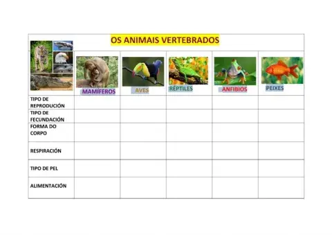 Animais vertebrados