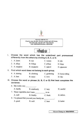 English 6 - Đề số 49
