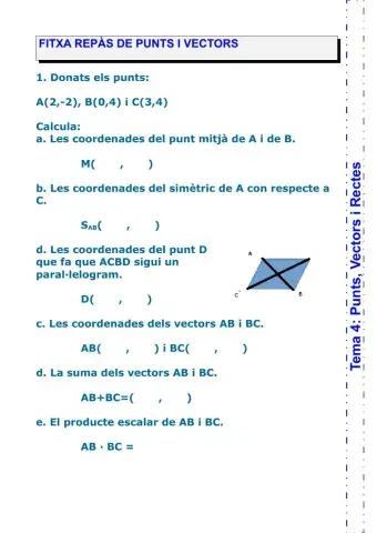 Repàs de vectors i punts