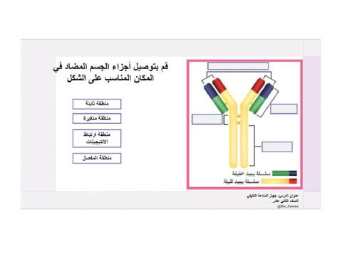 ورقة عمل الجسم المضاد