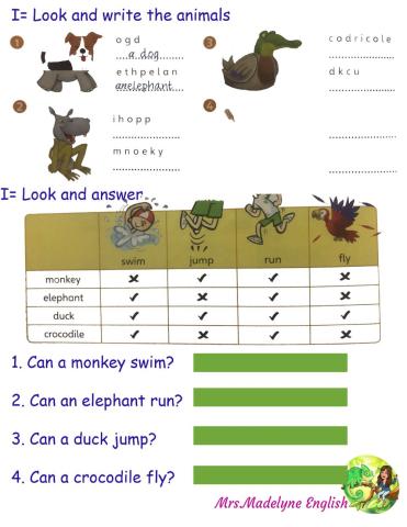 Animals can or can-t?