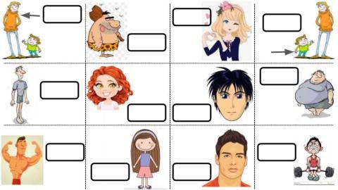 Seleccionar descripciones físicas