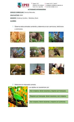 Trabajo Práctico Integrador