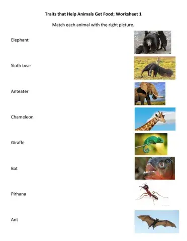 Traits That Help Get Food