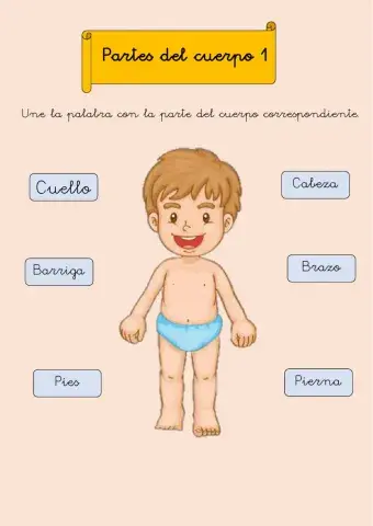 Partes del cuerpo