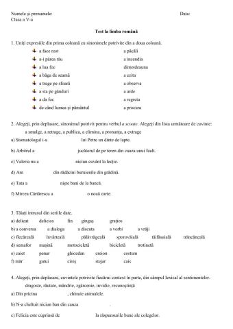 Test 5 vocabular
