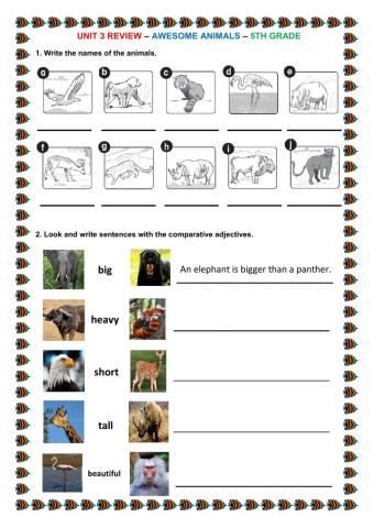 Unit 3 review 5th grade
