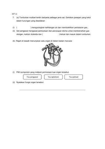 Pdpc ulangkaji m46 03122020 set 11