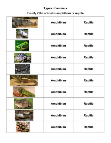 Actividad 41 - Tipos de animales