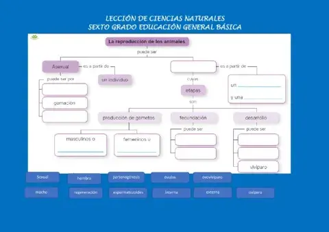 Reproducción en animales