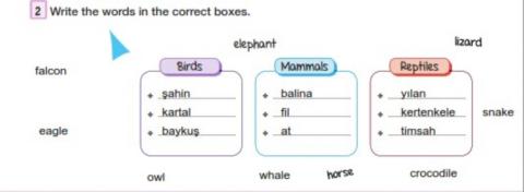 7 4.ünite ders kitabı say 58 2 birleştir