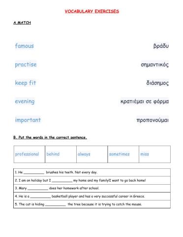 Vocabulary exercises