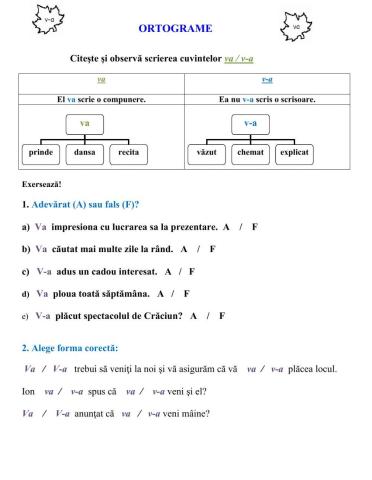 Ortograme - v-a-va- ne-a-nea
