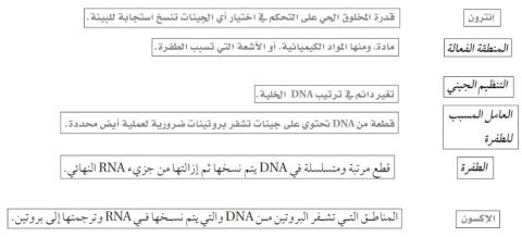 التنظيم الجيني