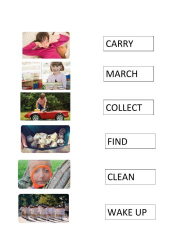 Match the words with the pictures