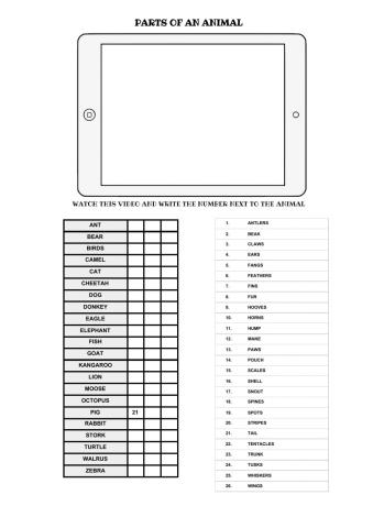 Animal Body parts