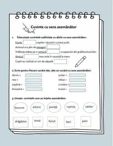 Cuvinte cu sens asemănător