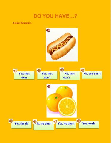 Level 2 - Unit 4c: Do you have...?