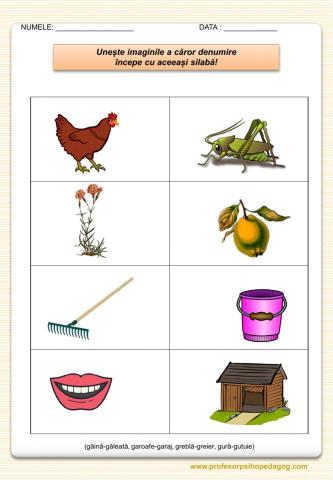 Cuvinte care încep cu aceeași silabă