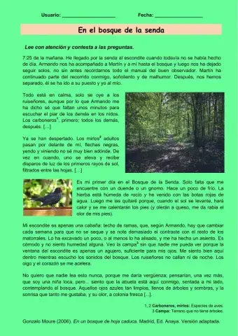 Comprensión escrita. En el bosque de la senda