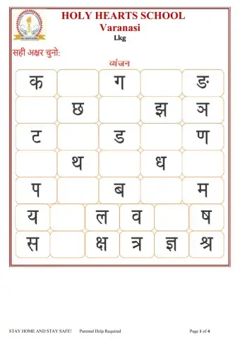 Lkg Hindi